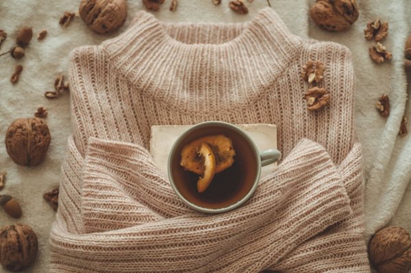 How to choose the right sweater material for dogs with skin allergies?